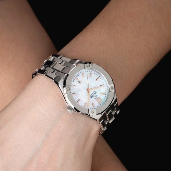 Obrazek Jaguar Diplomatic