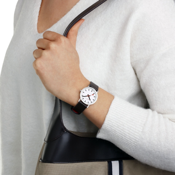 Obrazek MONDAINE Classic