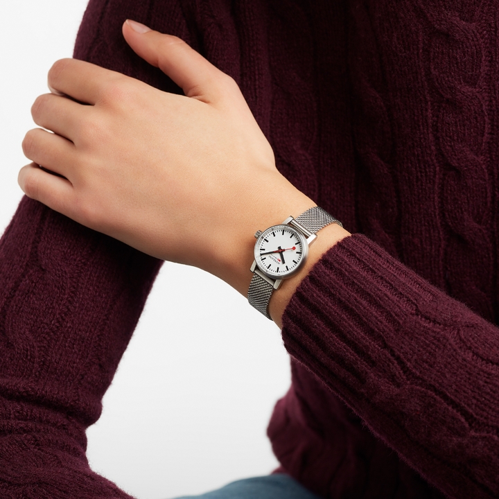 Obrazek MONDAINE Evo2