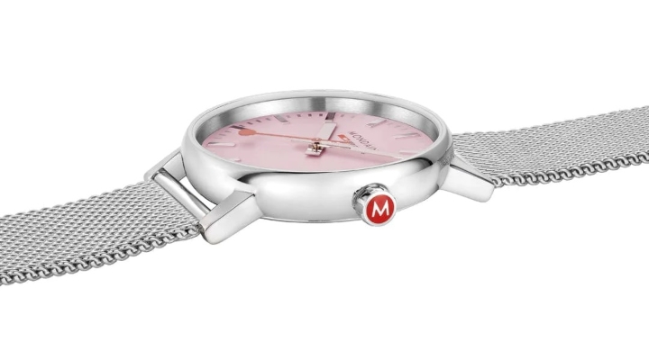 Obrazek MONDAINE Evo2