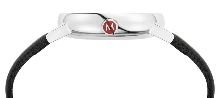 Obrazek MONDAINE Evo2