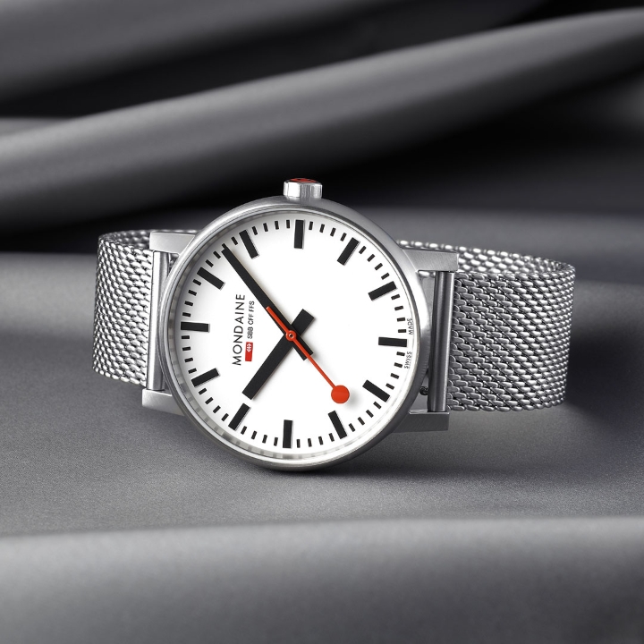 Obrazek MONDAINE Evo2