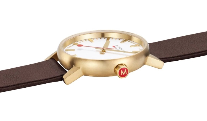 Obrazek MONDAINE Evo2