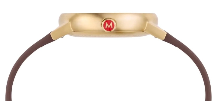 Obrazek MONDAINE Evo2