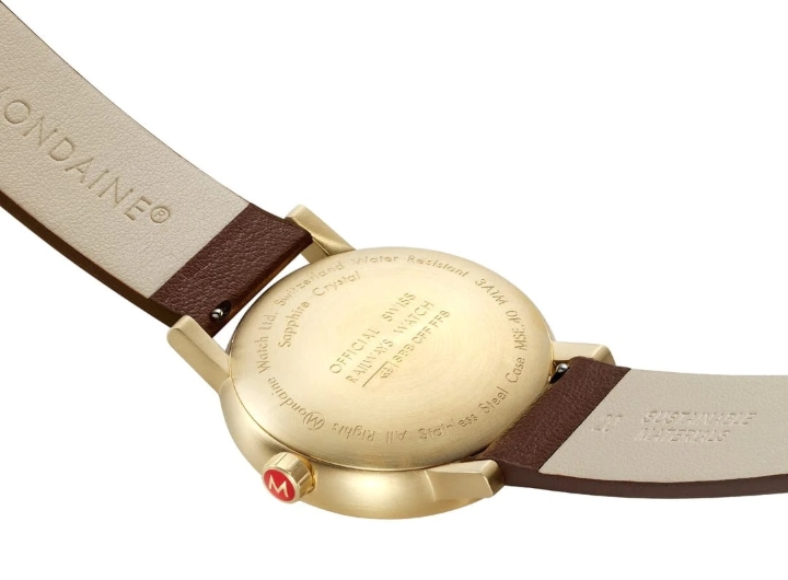 Obrazek MONDAINE Evo2