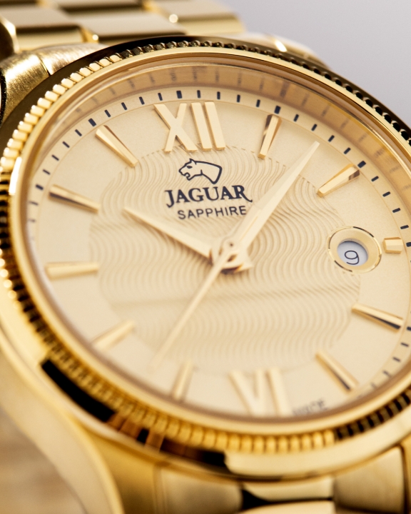 Obrazek Jaguar Acamar