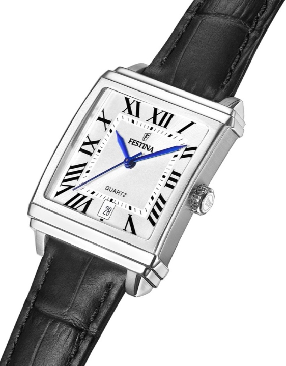 Obrazek Festina Classics