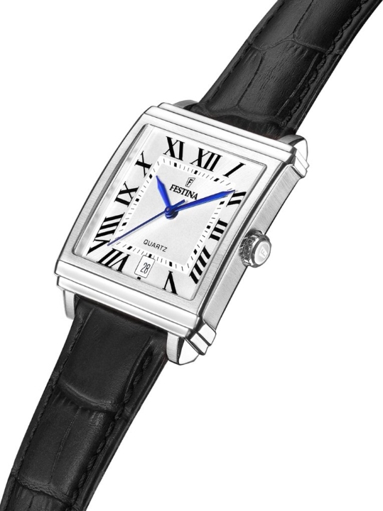 Obrazek Festina Classics