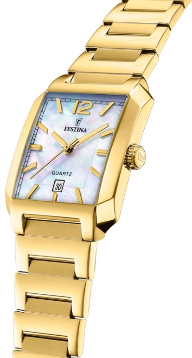 Obrazek Festina Classics
