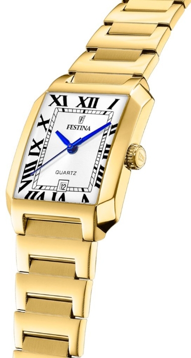 Obrazek Festina Classics