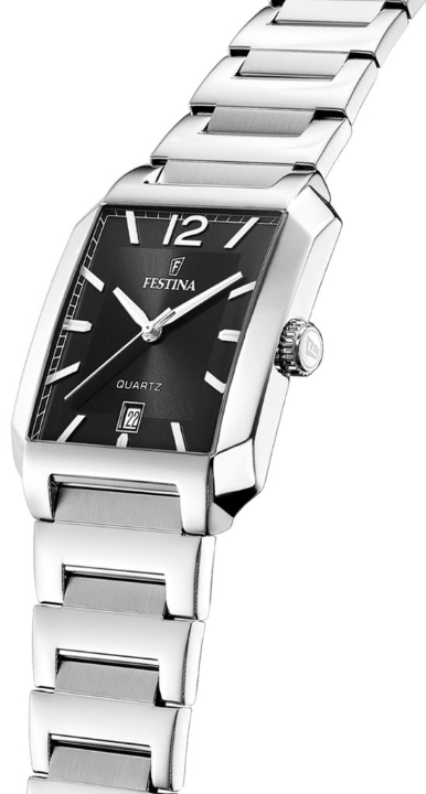 Obrazek Festina Classics