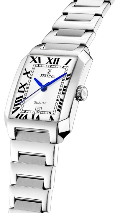 Obrazek Festina Classics