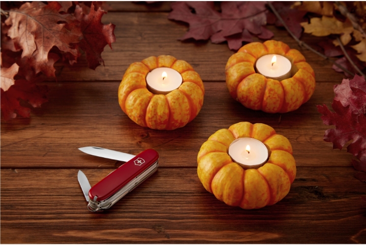 Obrazek Scyzoryk Victorinox Deluxe Tinker