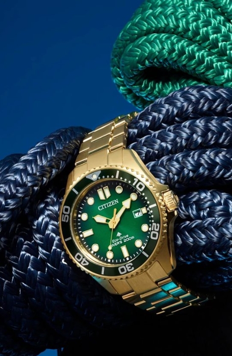 Obrazek Citizen Promaster Marine Diver