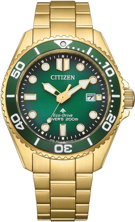 Obrazek Citizen Promaster Marine Diver