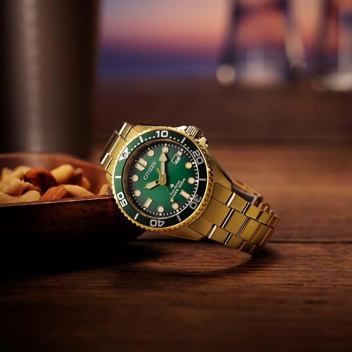 Obrazek Citizen Promaster Marine Diver