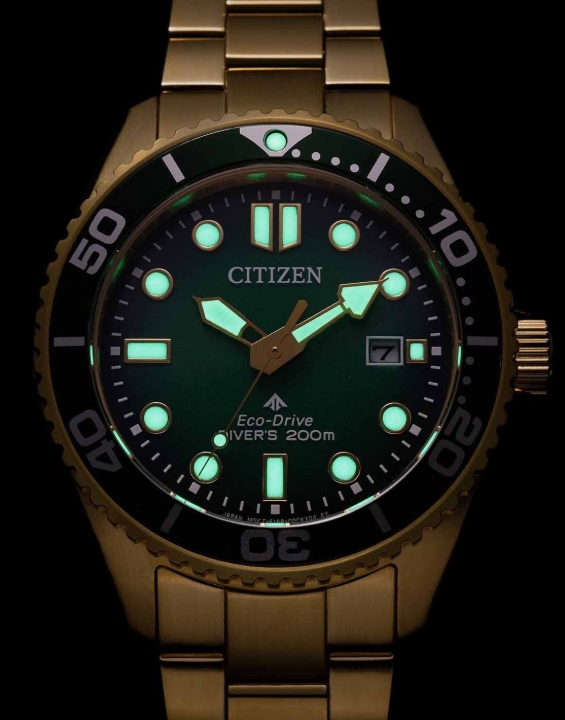 Obrazek Citizen Promaster Marine Diver
