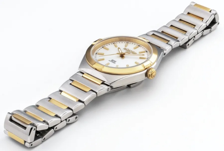 Obrazek Roamer Eso Classic