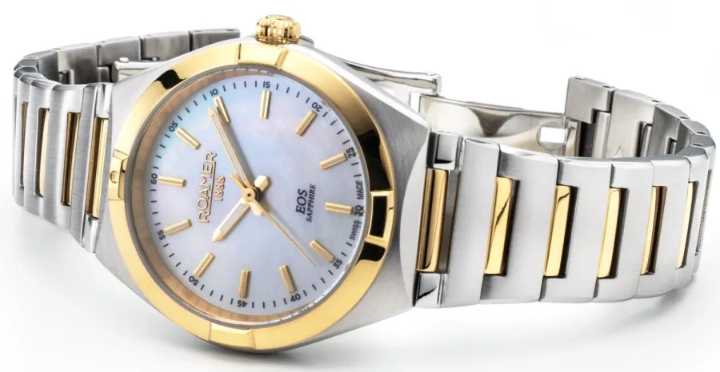 Obrazek Roamer Eso Classic