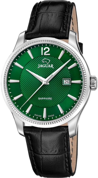 Obrazek Jaguar Acamar