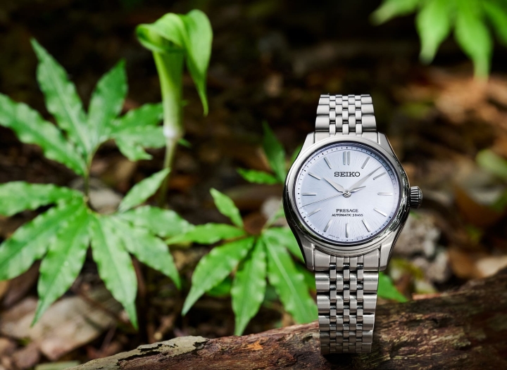Obrazek Seiko Presage Classic Series