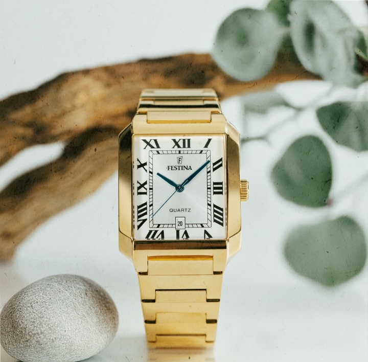 Obrazek Festina Classics