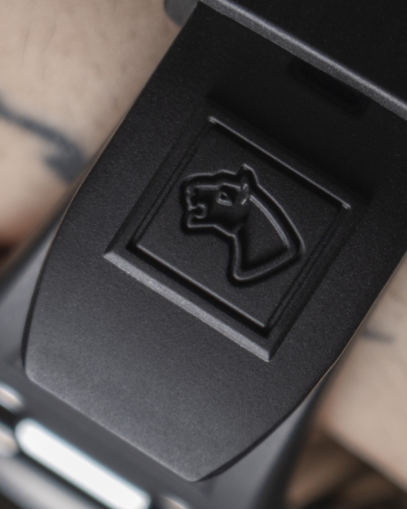 Obrazek Jaguar Diplomatic