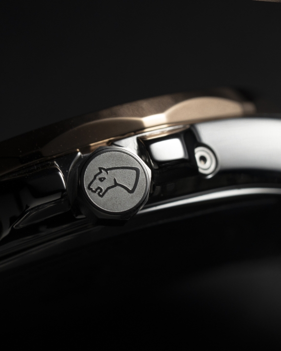 Obrazek JAGUAR DIPLOMATIC