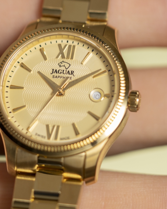 Obrazek Jaguar Acamar