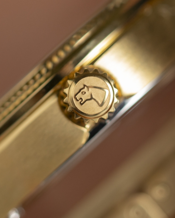 Obrazek Jaguar Acamar