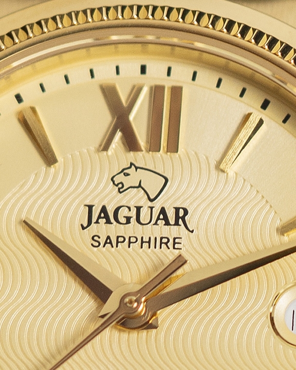 Obrazek Jaguar Acamar