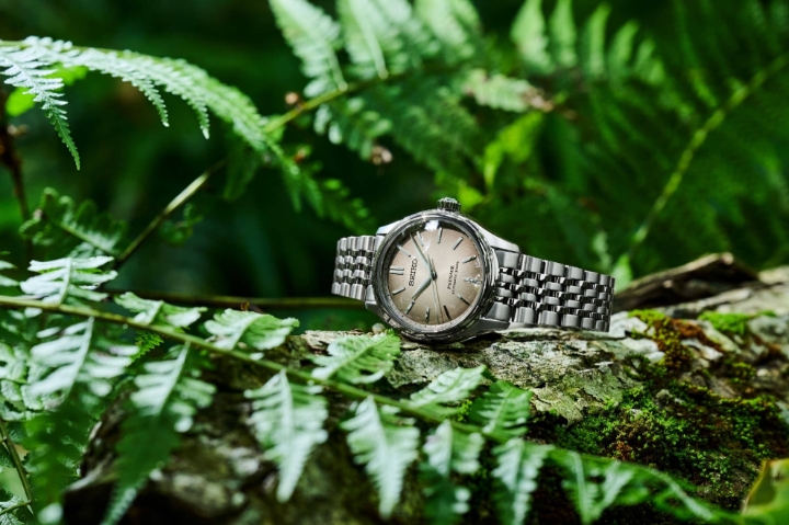 Obrazek Seiko Presage Classic Series