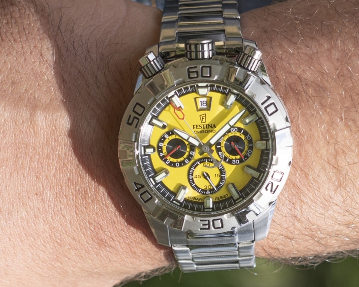 Obrazek Festina The Originals