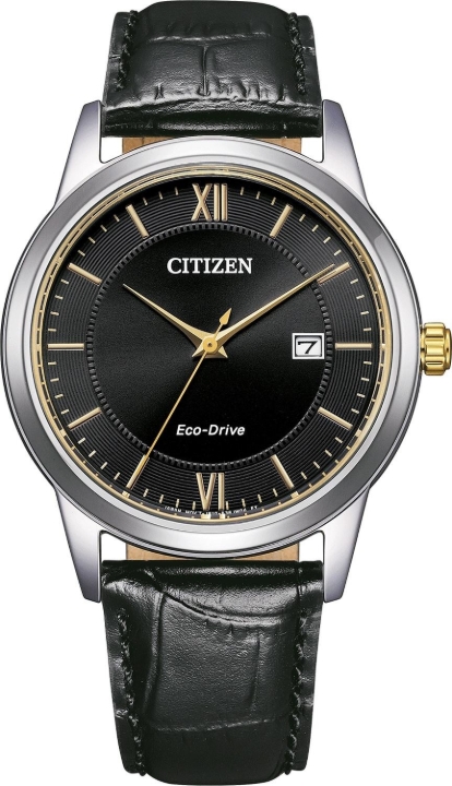 Obrazek Citizen Eco-Drive Elegance