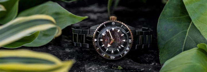 Obrazek RADO Rado Captain Cook High-Tech Ceramic