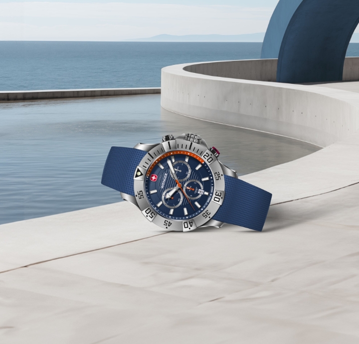 Obrazek Wenger Seaforce