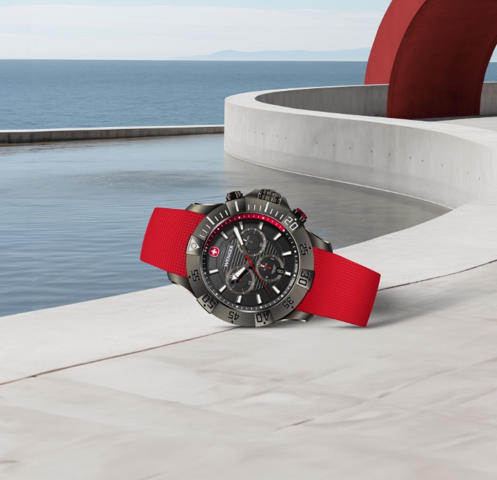 Obrazek Wenger Seaforce