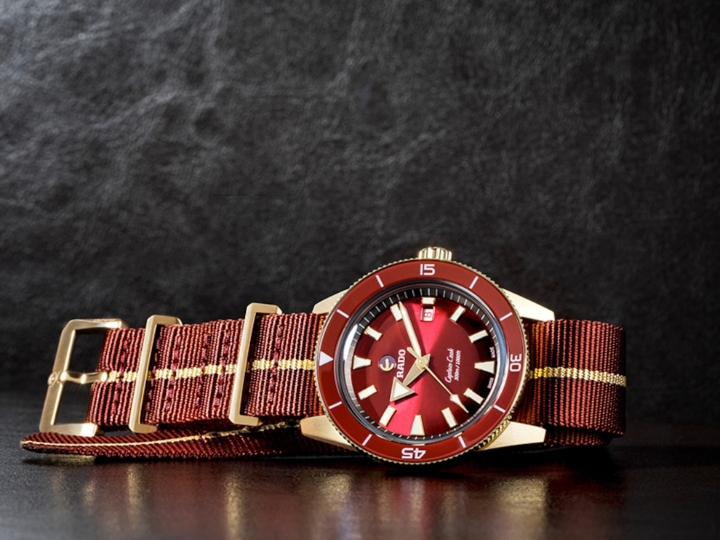 Obrazek RADO Rado Captain Cook Automatic Bronze
