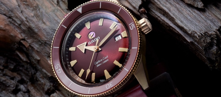 Obrazek RADO Rado Captain Cook Automatic Bronze