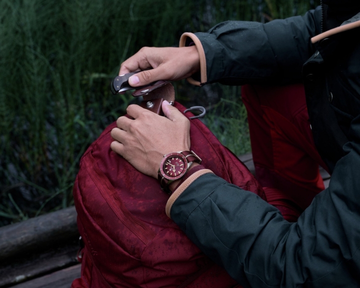 Obrazek RADO Rado Captain Cook Automatic Bronze