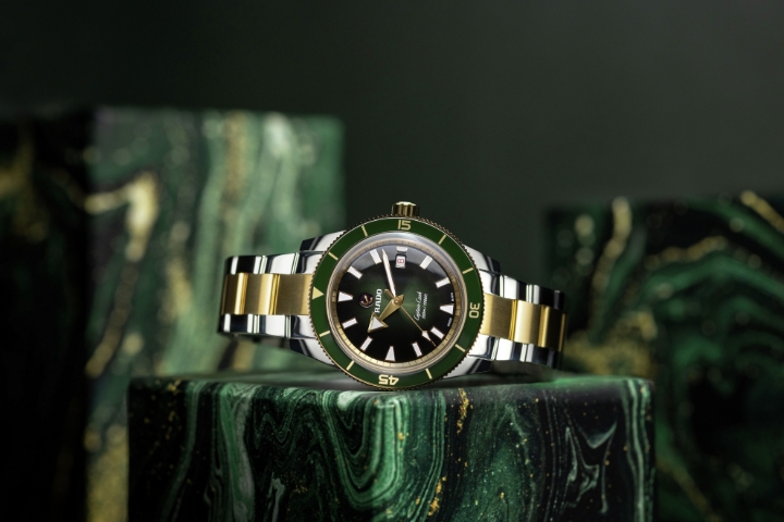 Obrazek RADO Rado Captain Cook Automatic