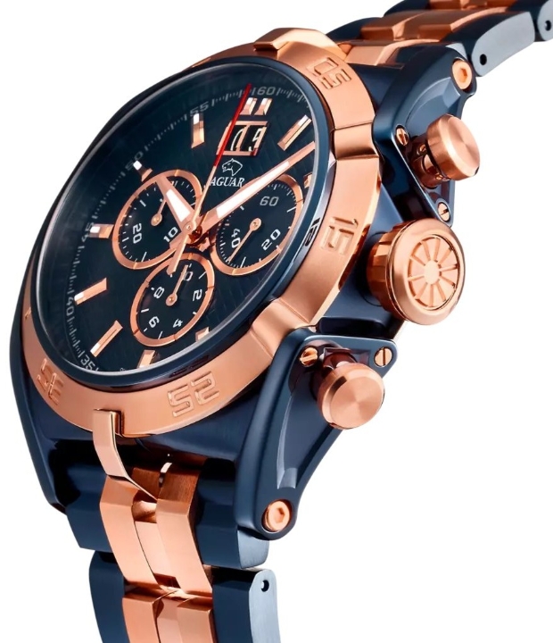 Obrazek Jaguar Special Edition