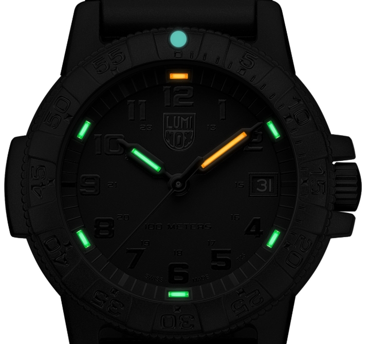 Obrazek Luminox Leatherback Sea Turtle 0300 Series