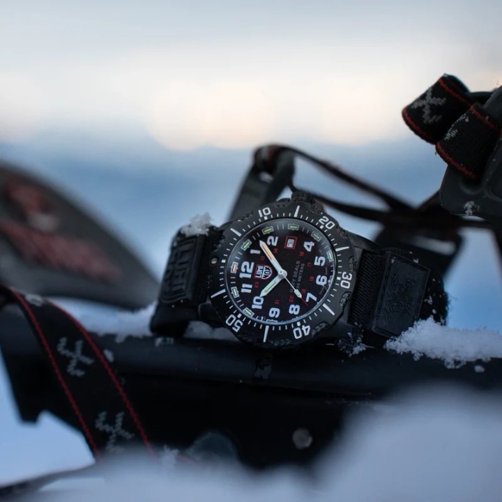 Obrazek Luminox Navy SEAL 4230 Series