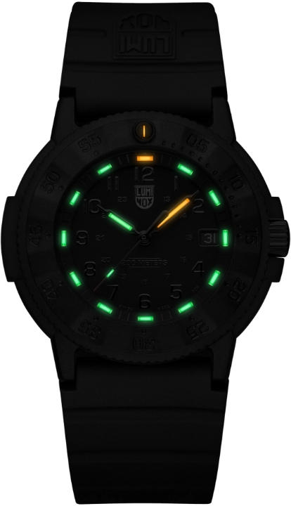 Obrazek Luminox Original Navy SEAL 3000 Series