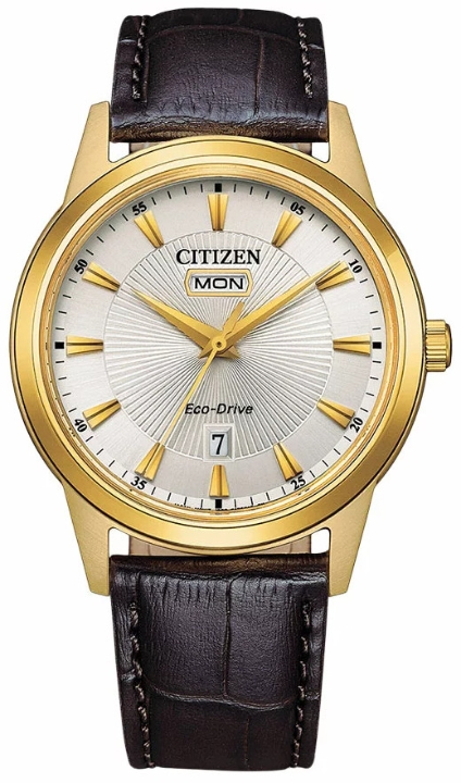 Obrazek Citizen Elegance