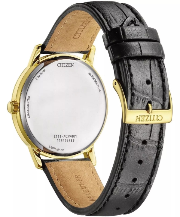 Obrazek Citizen Elegance