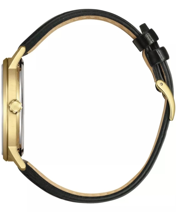 Obrazek Citizen Elegance