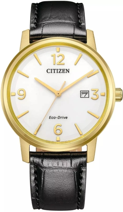 Obrazek Citizen Elegance