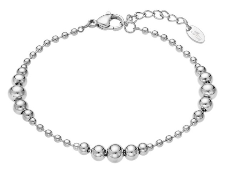 Obrazek Lotus Old Money